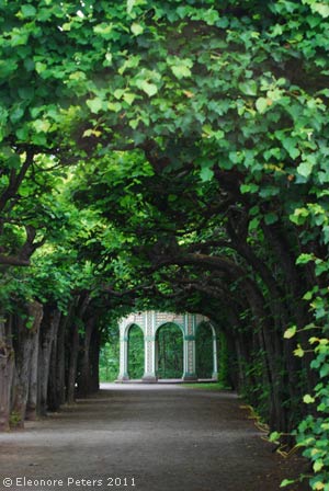 Laubengang Garten Eremitage Bayreuth
