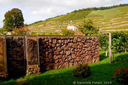 Weingut Wackerbarth